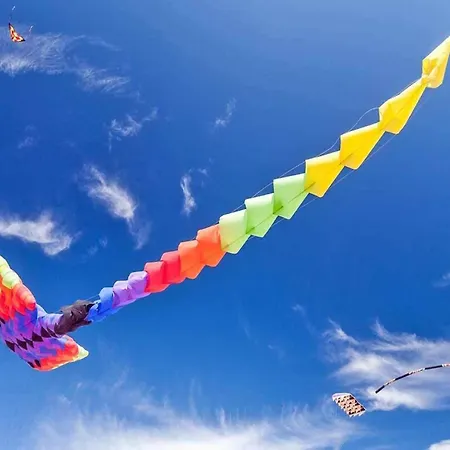 Homes Close To The Seaside *